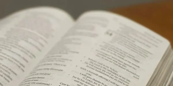 An open Bible